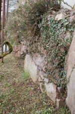 Bestimmt verbergen sich noch einige Überraschungen unter dem Grünzeug.