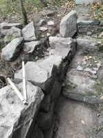 … und wächst zügig auf das Geländeniveau.