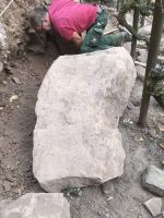 Die unregelmäßige Form bereitet Probleme, deshalb muß der Stein mehrfach wieder umgelegt und der Untergrund angepaßt werden.