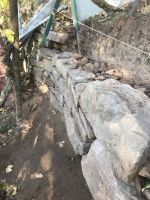 Dieser Bereich wächst zügig in die Höhe.