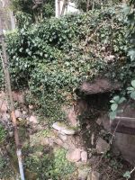 Es ist erstaunlich, daß die Mauer noch nicht komplett eingestürzt ist.