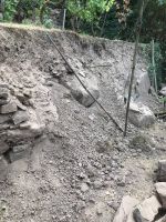 Meine beiden Sorgenkinder in der Bildmitte sind auch wieder da.